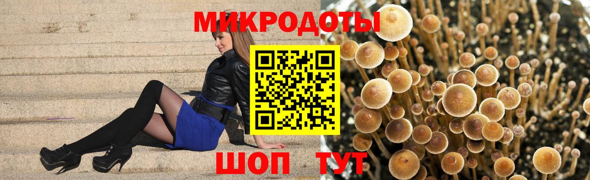 Псилоцибиновые грибы MAGIC MUSHROOMS  Вход с VPN  Сальск  Псилоцибиновые грибы мицелий 